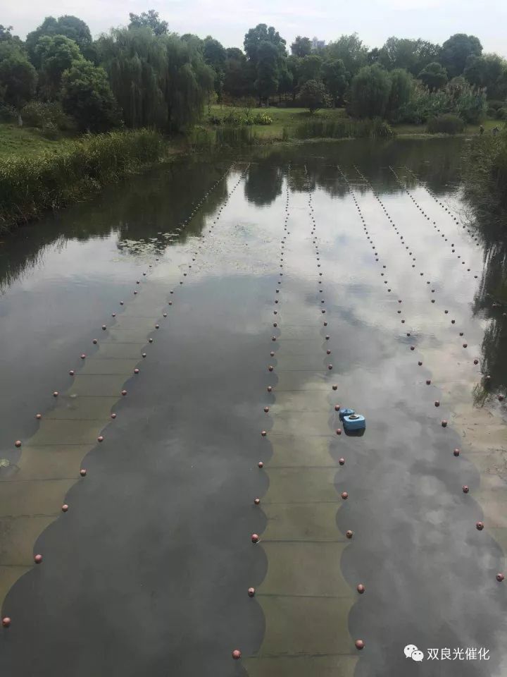 江阴市委书记走进双良新型光催化——江阴三季度重点产业项目现场观摩活动