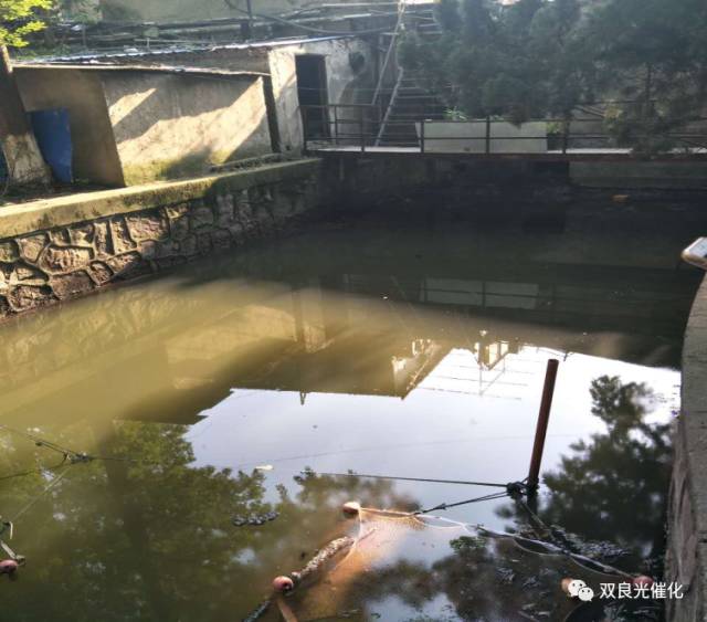 长江环保集团：当好“水管家” 助力六安开启治水新局面