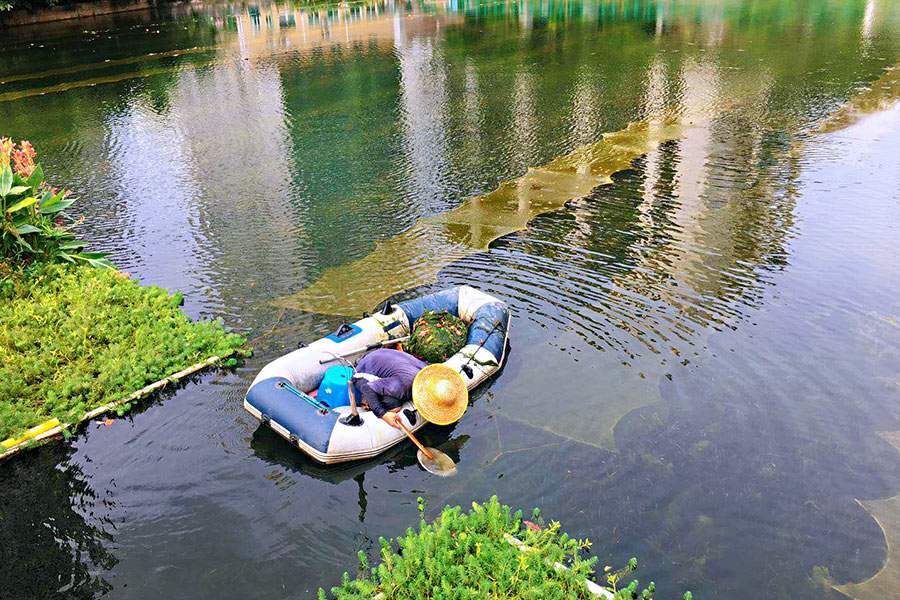 广东省深圳市辛养鱼塘-<a href=http://m.wljzc.cn target=_blank class=infotextkey>水生态修复</a>示范项目