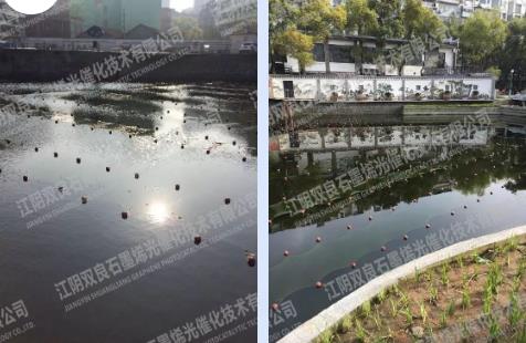洋水河：因 “絮凝治污 表面整改”被中央环保督察回头看”批评 现在实现系统治理