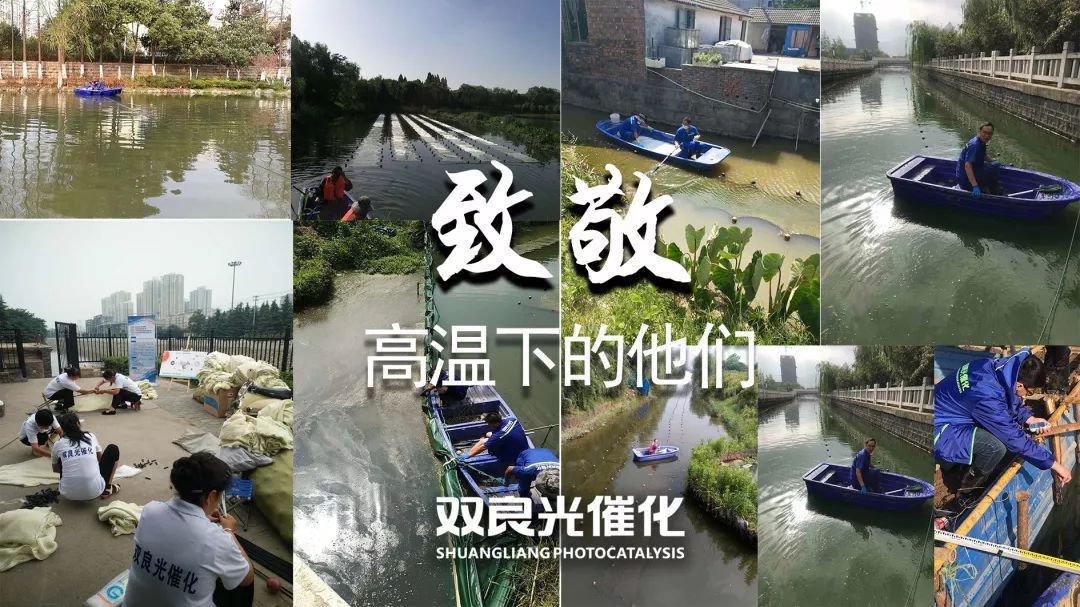 双良光催化网致敬高温工作下的你们辛苦啦