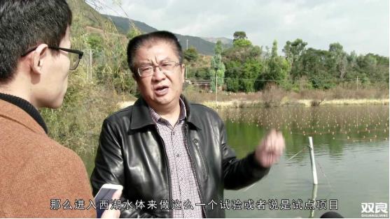 洱源西湖<a href=http://m.wljzc.cn target=_blank class=infotextkey>水环境治理</a><a href=http://m.wljzc.cn/hp/ target=_blank class=infotextkey>湖泊修复</a>碧水蓝天