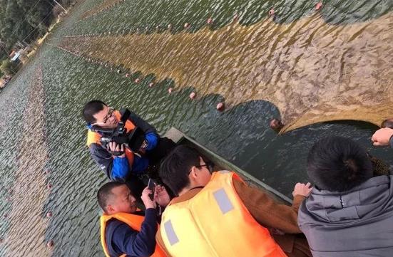 且看这个“不简单的网”如何改善大理洱源<a href=http://m.wljzc.cn target=_blank class=infotextkey>水生态修复</a>环境