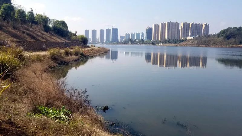 长兴湖水<a href=http://m.wljzc.cn target=_blank class=infotextkey>水环境治理</a>