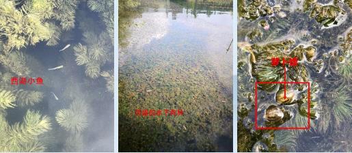 生态环境部有关负责人就《黄河河道环境治理生态?；ぶ卫砉ゼ嵴叫卸桨浮反鸺钦呶?>
					</div>


					<div   id=