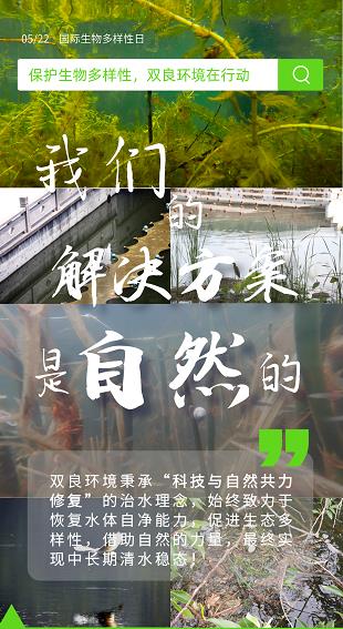 借自然之力,复绿水青山！