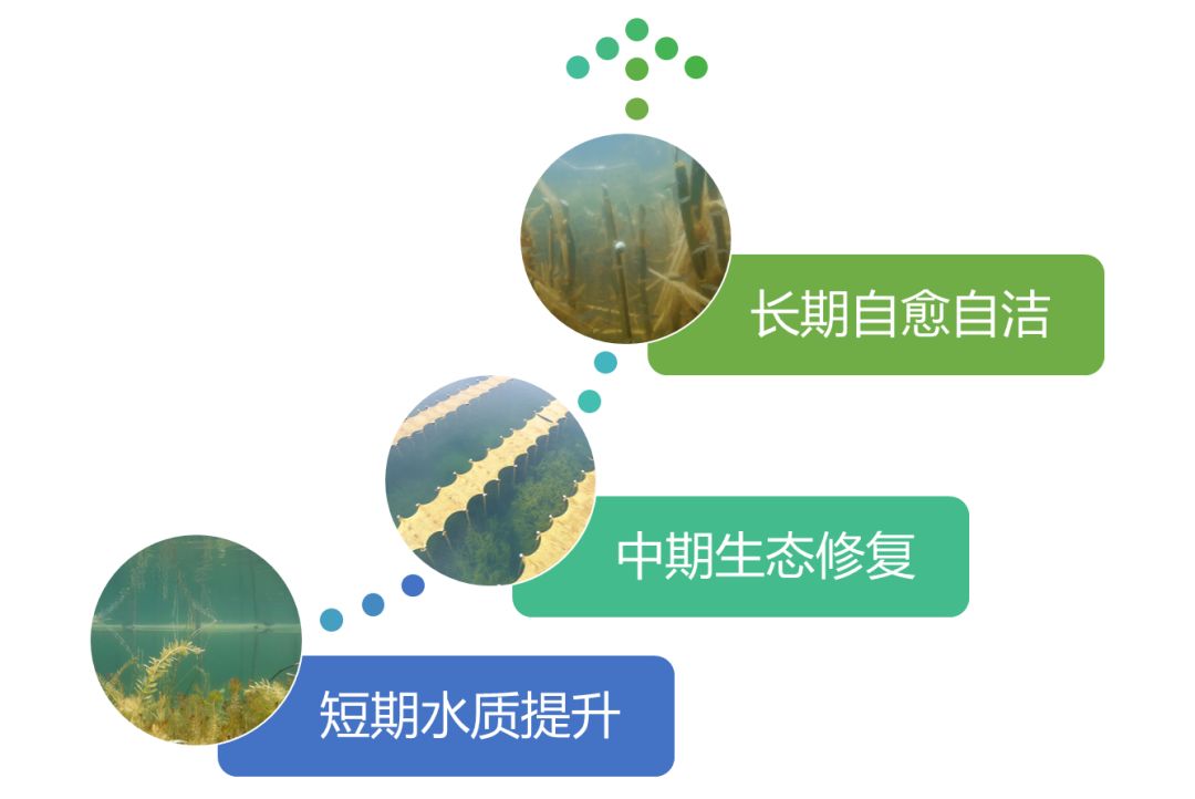 2020<a href=http://m.wljzc.cn target=_blank class=infotextkey><a href=http://m.wljzc.cn target=_blank class=infotextkey>双良</a>环境</a>春招开启