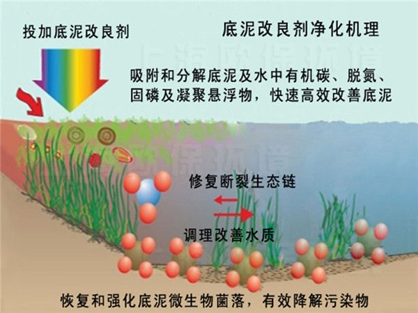城市河流污染治理技术（二）