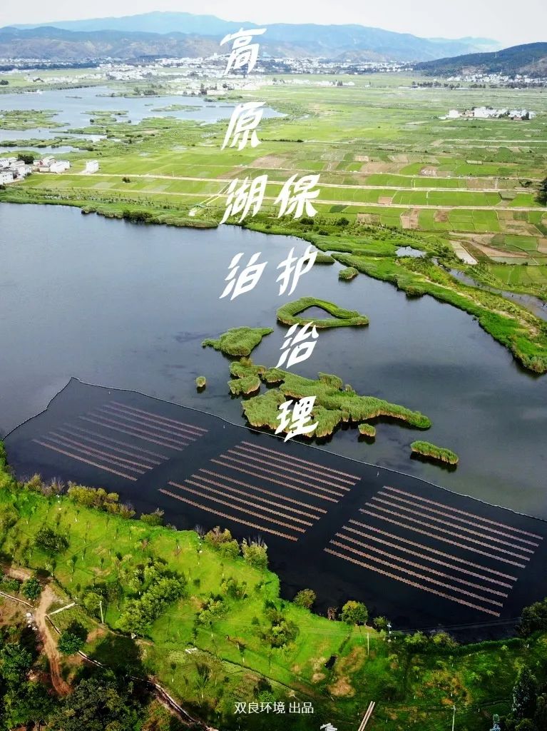 双良云南洱源光催化技术专家评审会顺利通过