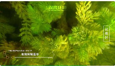 ?；ど锒嘌?a href=http://m.wljzc.cn target=_blank class=infotextkey><a href=http://m.wljzc.cn target=_blank class=infotextkey>双良</a>环境</a>在行动！