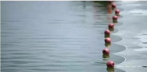 城湖共生的生态实践——双良看大湖治理巢湖答卷