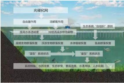 持续推进水生态?；ず托薷?>
					</div>


					<div   id=