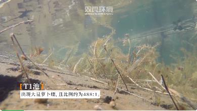三市镇督查环境?；ず拥乐卫淼裙ぷ?>
					</div>


					<div   id=