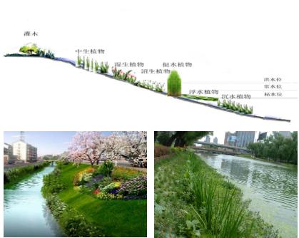 大面积黑臭水体（水塘、水渠、水库等）特别是养殖废水，如何在短时间快速进行治理？达标农灌水或排放标准？
