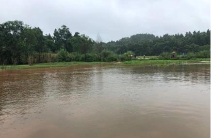 安岳饮用水水源地达标，将开展乡镇集中式饮用水源整治
