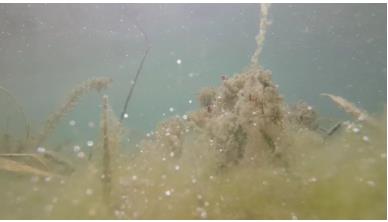 水生态系统?；ず托薷醇际?>
					</div>


					<div   id=