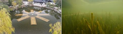海湾型城市污水系统问题与对策
