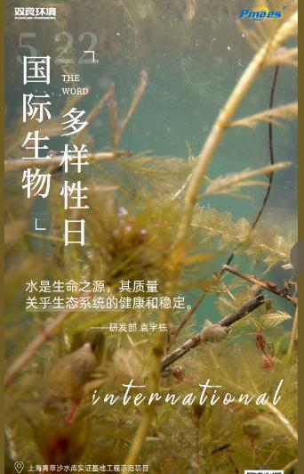 5.22生物多样性日｜共护碧水清波，共建和谐生态！