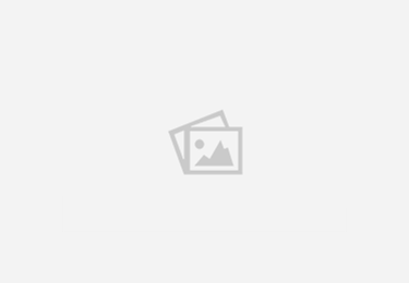 实施黄河流域水生态治理十大行动